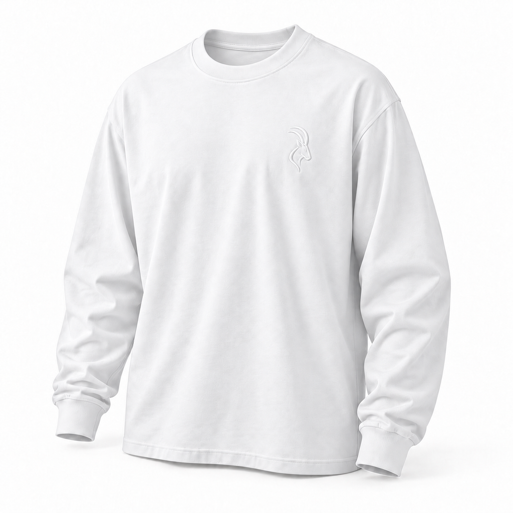 DIXWAR Premium Oversized Long Sleeve T-Shirt - White