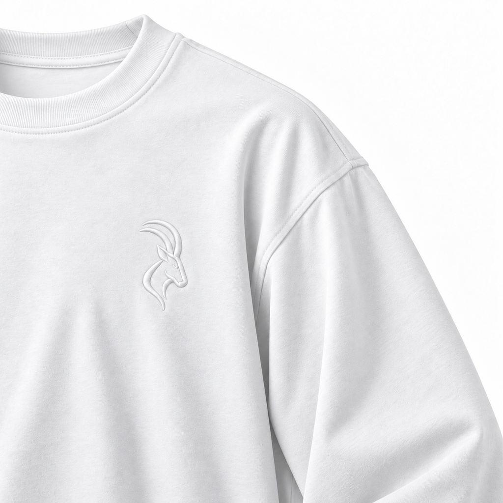 DIXWAR Premium Oversized Long Sleeve T-Shirt - White